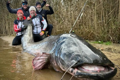 YAKALADIKLARI DEV YAYIN BALIĞI DÜNYA REKORU GETİRDİ