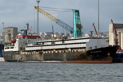 CANLI HAYVAN TAŞIYAN VE BANDIRMA AÇIKLARINDA BEKLETİLEN GEMİDE ŞİMDİDEN 48 HAYVAN TELEF OLDU