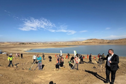 ŞABANÖZÜ'NDE AĞAÇLARNDIRMA BAYRAMI COŞKUSU