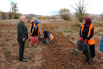 ÇANKIRI BELEDİYESİ'NDEN YERLİ ÜRETİM YÜKSEK VERİM