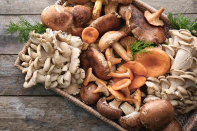 BAYRAMÖREN'DE ENDİŞELİ BEKLEYİŞ