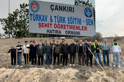 ÇANKIRI'DA FİDANLAR UMUT OLDU