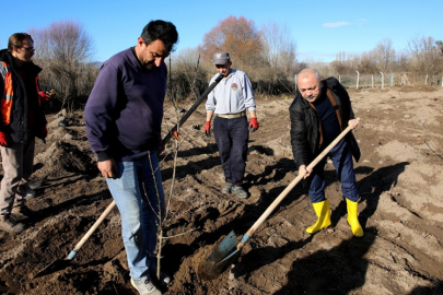 ATIL ARAZİDEN KIZILCIK BAHÇESİNE