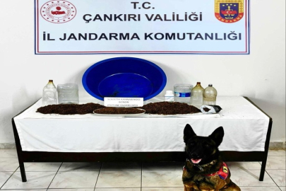 ÇANKIRI MERKEZDE UYUŞTURUCU OPERASYONU