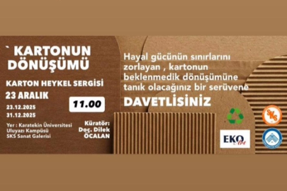 BİR KARTON BU KADAR ETKİLEYİCİ OLABİLİR Mİ...