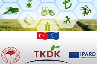 ÇANKIRI TKDK 2025'TE 163 MİLYON TL ÖDEDİ