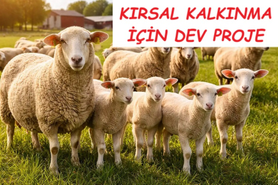 KIRSAL KALKINMA İÇİN DEV PROJE