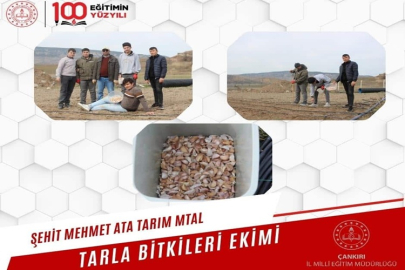 MESLEK LİSESİ ÖĞRENCİLERİNDEN TARIMA KATKI
