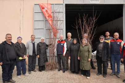ÇANKIRI'DA 150 ÇİFTÇİYE KAYISI FİDANI DAĞITILDI
