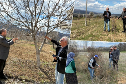 BAHÇELERDE BAHAR BAŞLADI AMA TEHLİKE KAPIDA