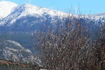 ÇANKIRI'DA BAHAR YERİNİ KIŞA BIRAKTI