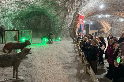 TUZ EKSPRESİ YENİDEN YOLA ÇIKTI