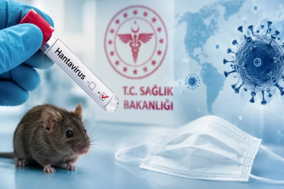 HANTAVİRÜS KRİZİ BÜYÜYOR