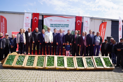 ÇANKIRI'DA 1 MİLYON FİDE ÜRETİCİYLE BULUŞTU