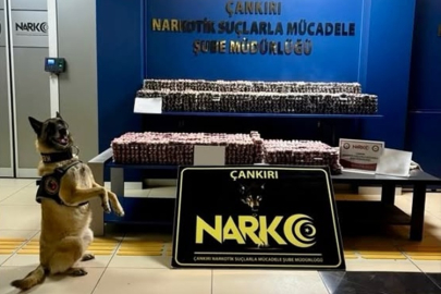 ÇANKIRI'DA ZEHİR TACİRLERİNE BÜYÜK DARBE