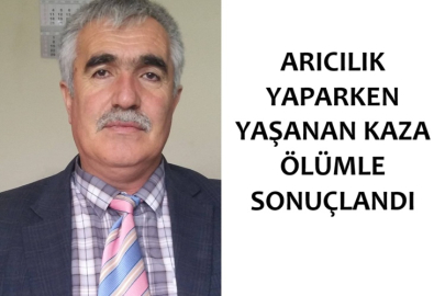 ARICILIK YAPARKEN YAŞANAN KAZA ÖLÜMLE SONUÇLANDI