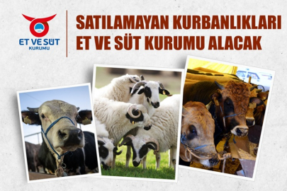 ELDE KALAN KURBANLIKLAR İÇİN ET VE SÜT KURUMU DEVREYE GİRDİ