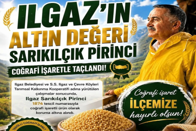 ILGAZ SARIKILÇIK PİRİNCİ ARTIK COĞRAFİ İŞARETLİ