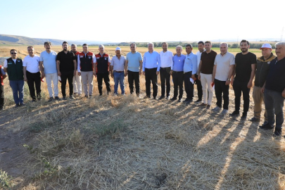 ÇANKIRI'DA HASAT SEZONU REKORLA BAŞLADI