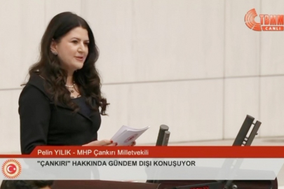 PELİN YILIK, TBMM'DE ÇANKIRI'NIN SORUNLARINI GÜNDEME TAŞIDI...