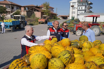 KIZILIRMAK'TA KAVUN HASADI BAŞLADI