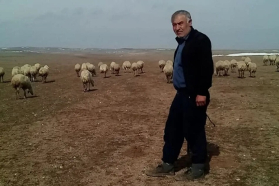 GERMECE KÖYÜNÜ YASA BOĞAN KAZA
