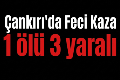 Gecenin Karanlığında Korkunç Feryat: Kontrolden Çıkan Araç Hurdaya Döndü, 1 Ölü, 3 Yaralı!