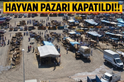 HAYVAN PAZARI KAPATILDI! Kritik Karar Son Dakika Açıklandı: Çankırı Hayvan Pazarı İkinci Bir Talimata Kadar Kapatıldı!